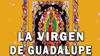 La Virgen De Guadalupe 2022 - Canto De Alabanza (disco completo) - Cántos A La Virgen De Guadalup