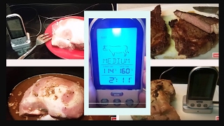 Digital Wireless Meat Thermometer Review ThermoFutre Grilling, Baking, Fyring \u0026 MORE!