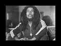 bob marley and the wailers Stiff Necked Fools Instrumental