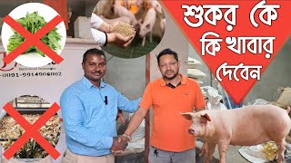 শুকর পালনের লাভজনক খাবার কি ?pig farm earn money /pig farm