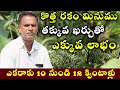 కొత్త రకం మినుము అధిక దిగుబడి | Black Gram దిగుబడి 12 క్వింటాళ్లు | 9290794677 | Sreekaram Farming