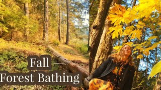 Bathing in the Fall Forest on Vancouver Island