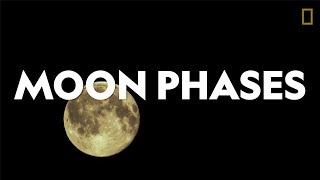 Definitions in the Field: Moon Phases