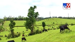 Miscreants destroy beautiful KC farm hill with illegal activities in Dakshina Kannada