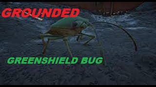 Grounded Where To Find Greenshield Bug
