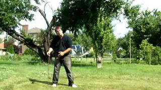 Playtube Pk Ultimate Video Sharing Website