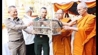 พระธรรมฐิติญาณ (หลวงปู่ศรีจันทร์ ปุญญรโต) ปล่อยนก ณ วัดบึงพระลานชัย อำเภอเมือง จังหวัดร้อยเอ็ด 62