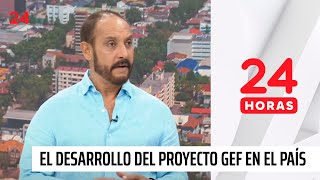 Proyecto GEF: protección y gestión sostenible de humedales costeros | 24 Horas TVN Chile