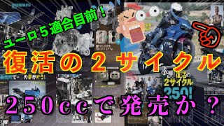 【復活２スト250ccバイク！】ユーロ５適合で日本公道仕様目前か？