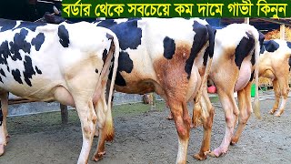 বর্ডার থেকে সবচেয়ে কম দামে গাভী কিনুন dairy farm