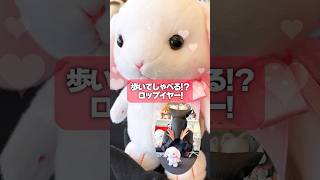 歩いて喋るウサギ🐰！？【ぽてうさろっぴー まねっこトコトコ】 #shorts #kawaii