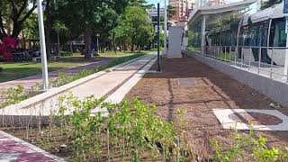 凱旋公園站及輕軌列車，維修折返線