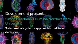 Development presents... Simon Freedman