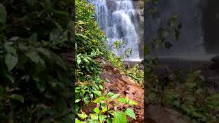 Jhari waterfalls to Hebbe falls in 30secs #chikmagalur #hebbe #jharifalls #nammakarnataka