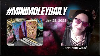 #minimoleydaily - January 28th, 2025