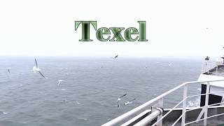 Texel 2020 movie