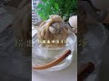 【 中华厨猫】厨猫 用蚕宝宝自制蚕丝枕头 太棒啦 猫咪日常 会做饭的猫 手工diy 蚕丝被