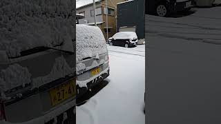 金沢市　雪　積もりました