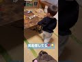 風船を手に入れた赤ちゃん🫣1歳9ヶ月