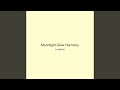 Moonlight Glow Harmony