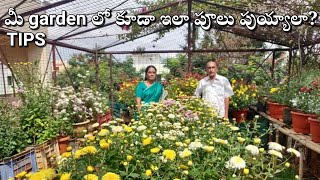 82 years లో 45 years experience తో మీకిచ్చే tips | Chrysanthemums Terrace Garden 2 | Prema's Garden