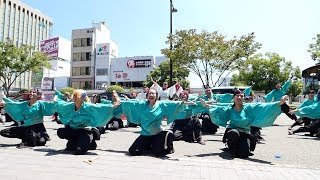 和歌山大学よさこいサークル和歌乱　JR和歌山駅前　おどるんや紀州よさこい2018