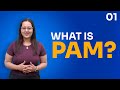 What is Privileged Access Management (PAM)? | miniOrange PAM explained