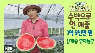 [역전의부자농부 268회] 수박으로 연 매출 1억 5천만원! 충북 충주 김계순 부자농부