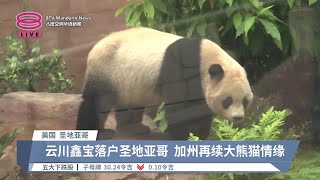 中国大熊猫再赴美国 \