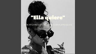 Ella quiere (feat. Redgang, varios artistas)