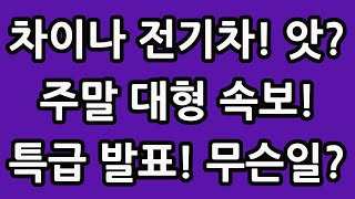 차이나 전기차 주말 대형 속보! 특급 발표! 무슨일? 중국 주식 주가 전망 TIGER 타이거 ETF SOLACTIVE 테슬라 루시드 아이온큐 TQQQ SOXL TMF