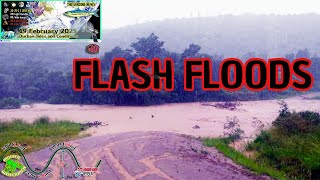 FLASH FLOODS and ZAMBEZI SHARKS