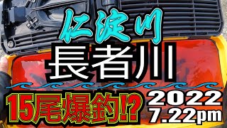 アユの友釣り 仁淀川(高知県) 長者川 2022.7.22 pm