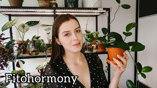 Jak zagęścić roślinę?🌱 Auksyny, gibereliny, cytokininy i inhibitory wzrostu 🌿 |  Naukowa Środa #8 🌱💚