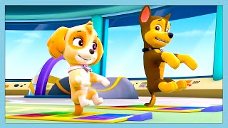 Pup Pup Boogie! 🎶 🐶 | Paw Patrol | WildBrain Kids