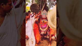 Pandu Vijaya Ratha Yatra ISKCON Habibpur 2023 #short #rathyatra #iskcon