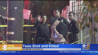 Teen killed in Harbor Gateway area shooting