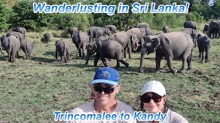 Wanderlusting in Sri Lanka 2 #srilanka #elephants #travelcouple #wanderlustiswunderbar #minneriya