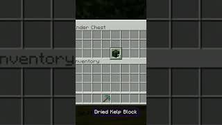 minecraft but I have options🌠#shorts #short #youtubeshorts #minecraft #minecraftshorts #viralshorts