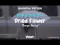 [MV] Yuuri (優里) - Dried Flower (ドライフラワ) Accoustic Version Lirik & Terjemahan (KANJI/ROM/INDO)