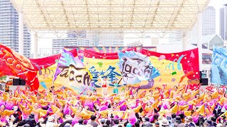 [4K] 京炎 そでふれ！Tacchi  2024年度演舞『愛逢レ(めぼれ)』初披露 Sailing KOBE 2024