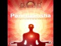 panchakosha hindi guided meditation u0026 relaxation gurudev sri sri ravi shankar