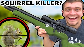 Ultimate Squirrel Hunting Airgun? (Scope Cam)