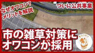 【公共事業に採用】市の防草対策でオワコンが採用！なぜオワコン？メリットの解説。