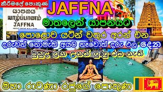 Jaffna l jaffna travel l  KEERIMALAI l Naguleswaram temple l යාපනය l යාපනය සංචාරය l කීරිමලේ පොකුණ