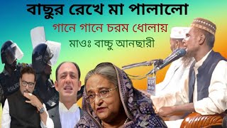 বাছুর রেখে মা পালালো গানে গানে চরম  ধোলায় সৌরাসি হাসিনাকে  মাওঃ বাচ্চু আনছারী সাহেব।