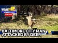 Man attacked by deer issues warning to others