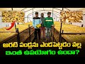 సోలార్ డ్రైయర్‌లో అరటిని ఎండబెట్టడం#dehydrated #banana #solardryer #agribusiness #banana #agrisol