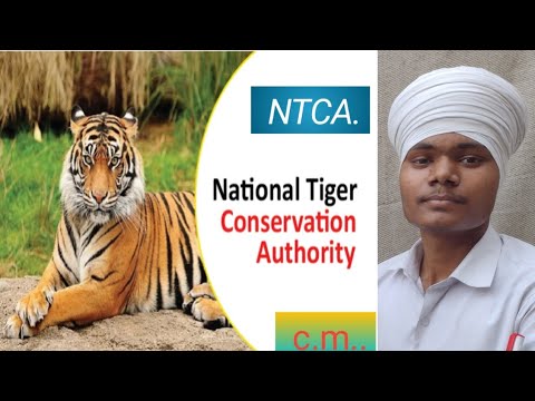 NTCA $$$ राष्ट्रीय बाघ संरक्षण प्राधिकरण # About National Tiger ...