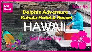 Dolphin Quest Oahu at the Kahala Hotel \u0026 Resort, real hawaii,hawaii travel, hawaii trip,oahu